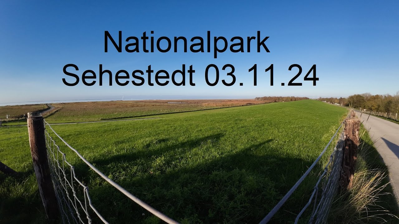 Nationalpark Sehestedt 03.11.2024