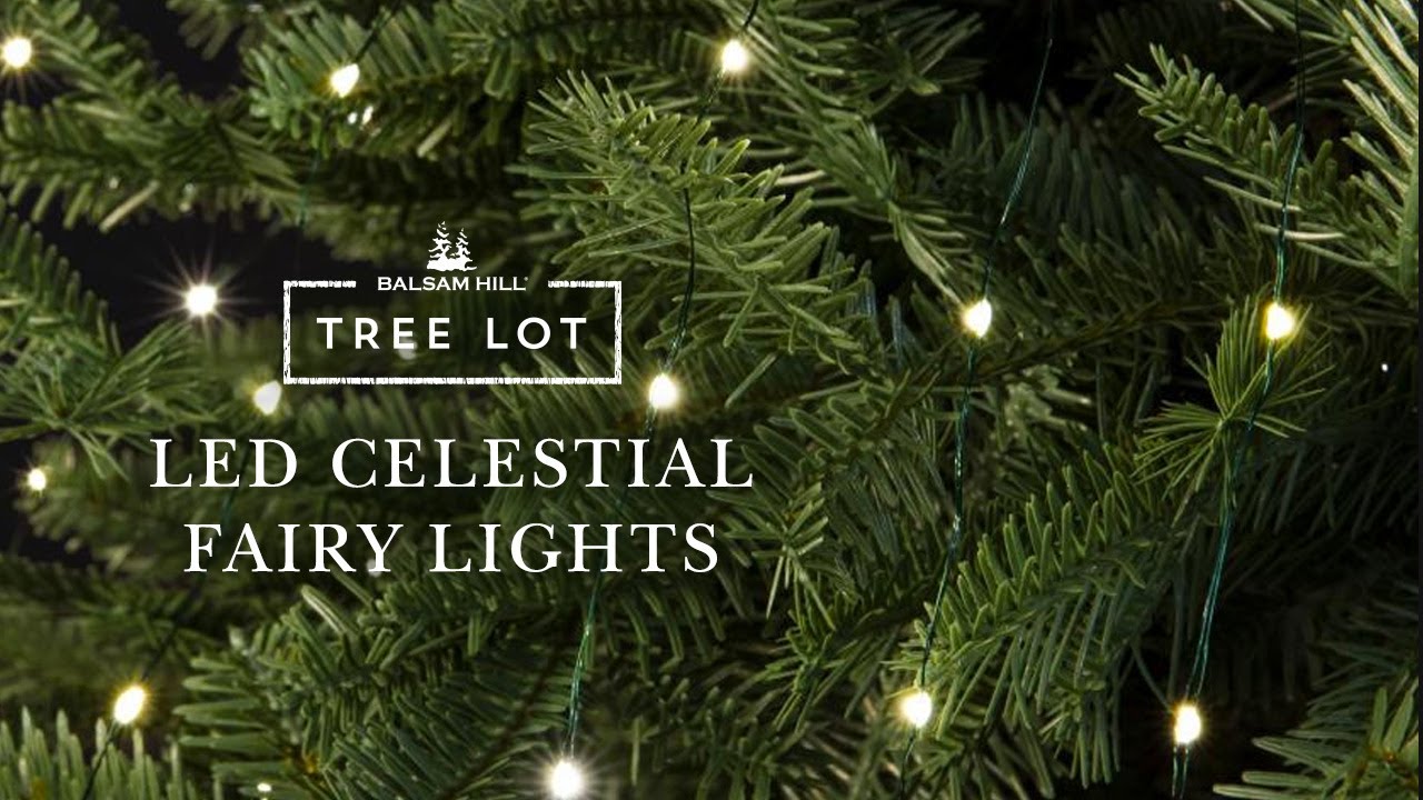LED Celestial Fairy Lights | Balsam Hill&reg; Tree Lot