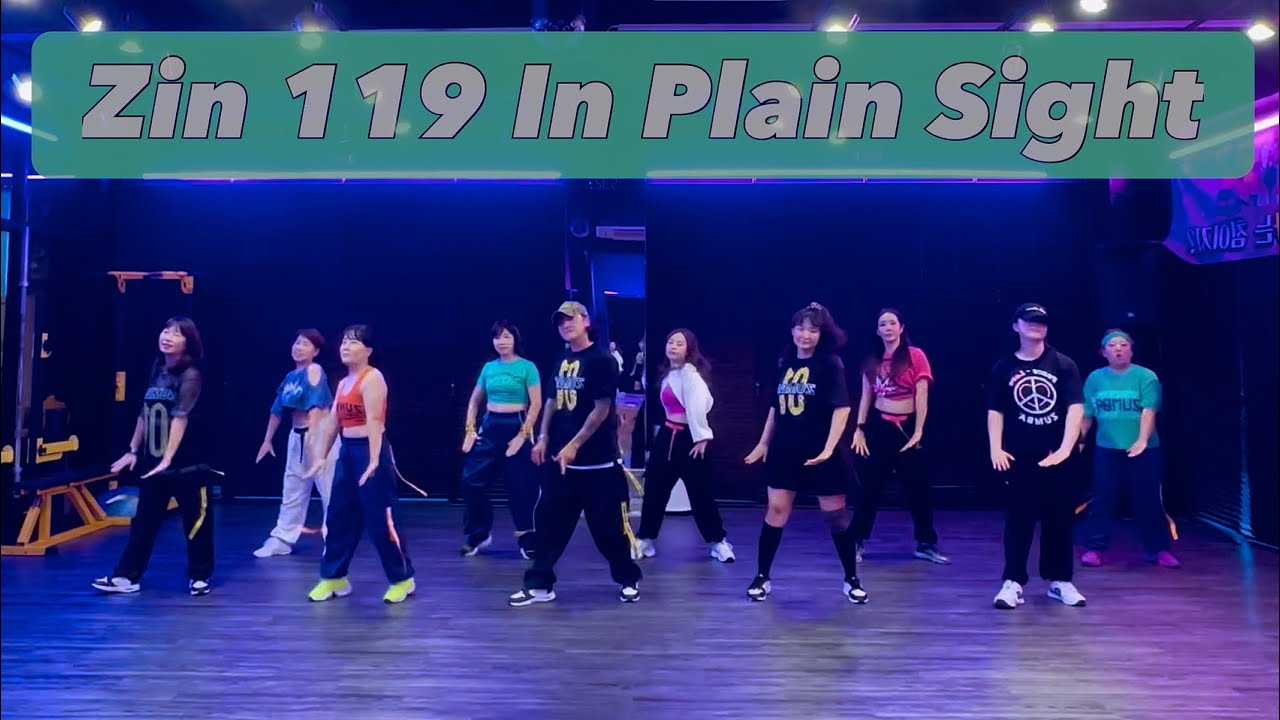 ZIN119 │ 진볼륨119 │ In Plain Sight │ Pop │ 데이비드줌바 │ DAVID ZUMBA STUDIO
