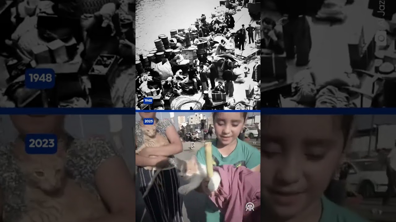 Israel's forced displacement of Palestinians from Gaza's north to south seen as new ethnic cleansing