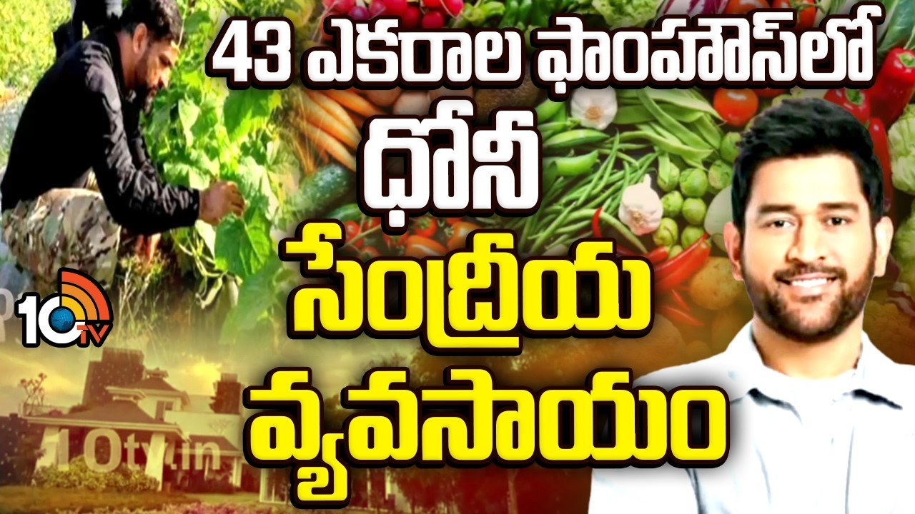 సేంద్రియ వ్యవసాయం చేస్తున్న ధోనీ | Cricketer MS Dhoni Organic Farming | 10TV News