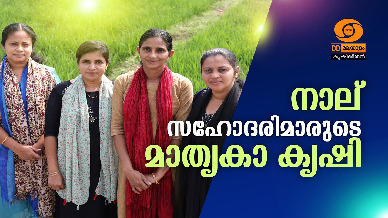 നാല് സഹോദരിമാരുടെ മാതൃകാ കൃഷി || DOORDARSHAN || KRISHIDARSHAN || #doordarshan #trending   #krishi