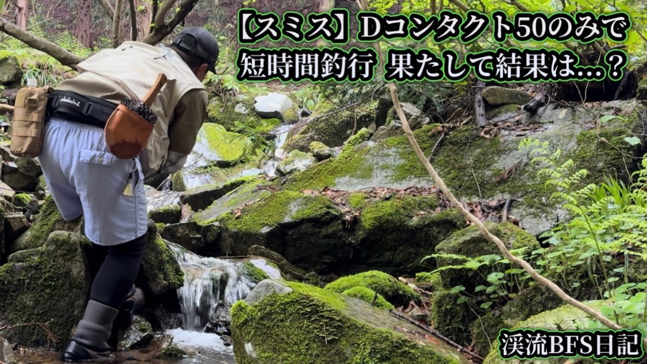 【スミス】Dコンタクト50のみで短時間釣行　果たして結果は…？