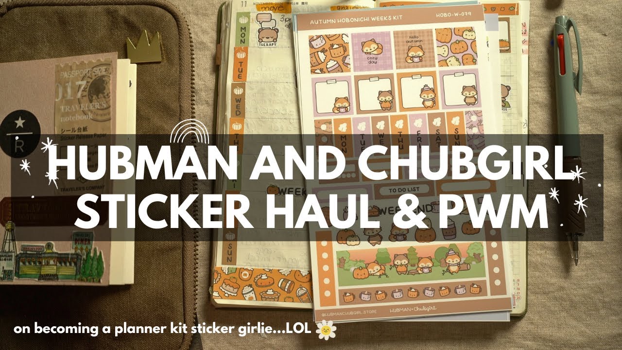 милые наборы наклеек для недель хобоничи | hubman и chubgirl #plannerstickers #plannerstickerhaul