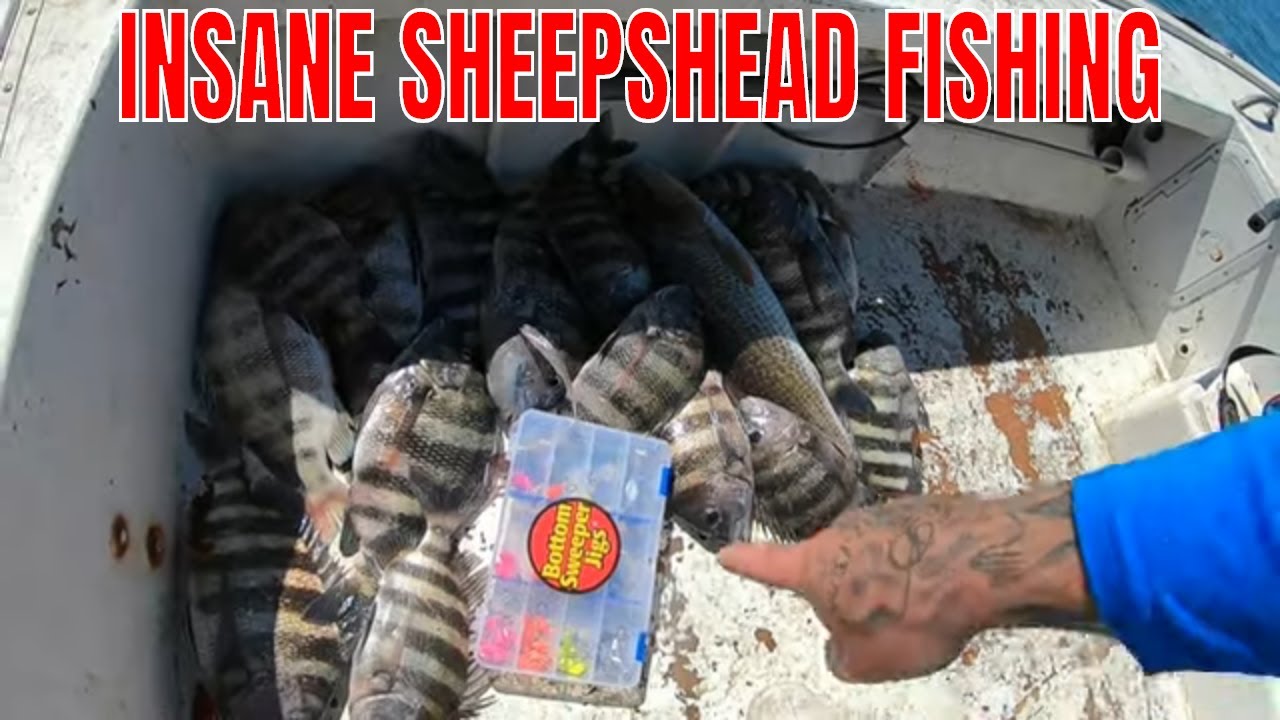 Fishing The Jetties For An Insane Sheepshead Bite with the Bottom Sweeper Jig