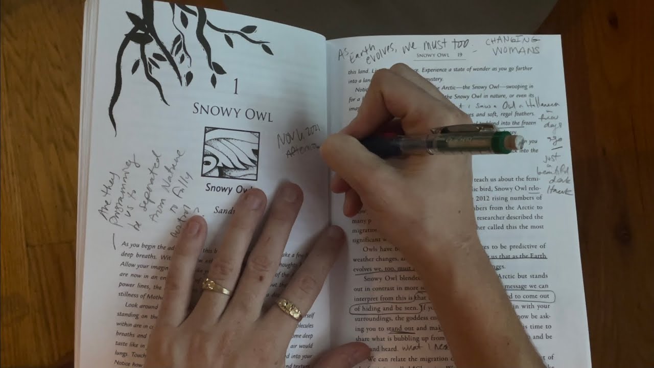 How To Annotate | Hands on Reading