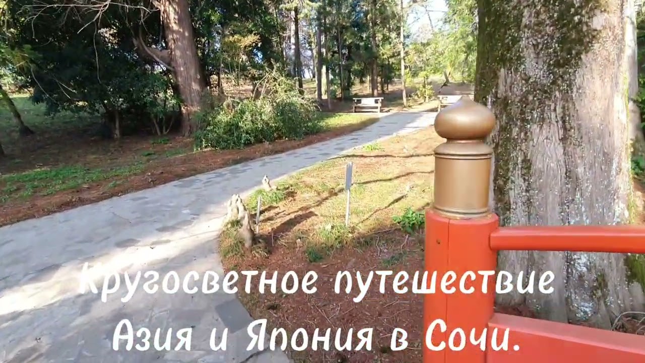 В дендрологическом парке «Дендрарий» в Сочи находится «Японский садик» — уголок, в японском стиле.