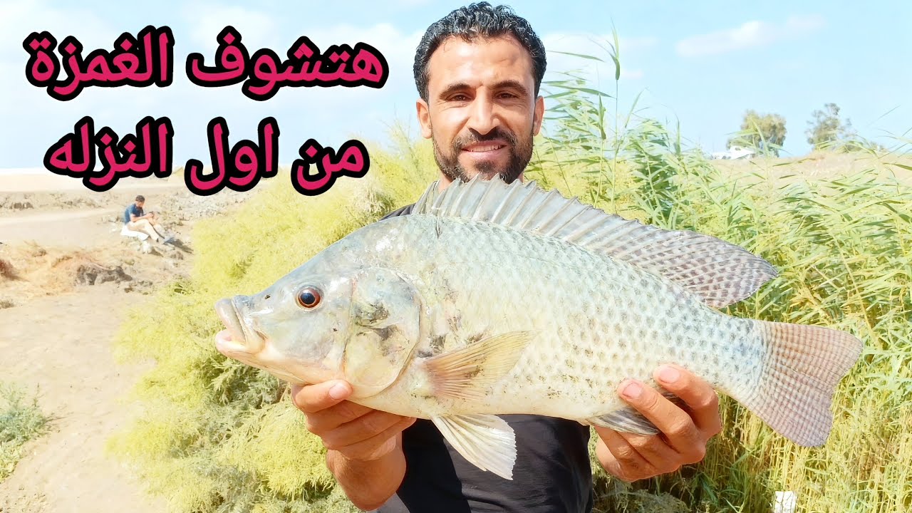 هتشوف متعة صيد البلطي الكبير من اول نزول الطعم الميه لحد خروج السمكه 👍