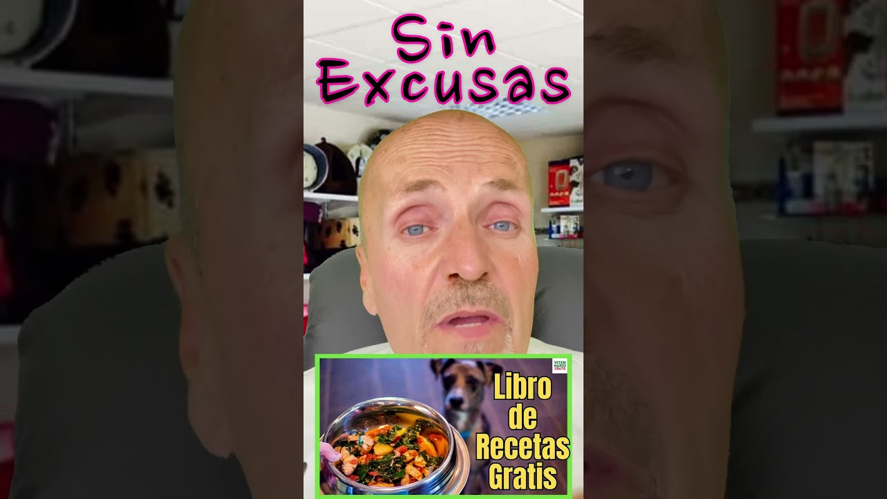 RECETAS DE COMIDA CASERA PARA PERROS