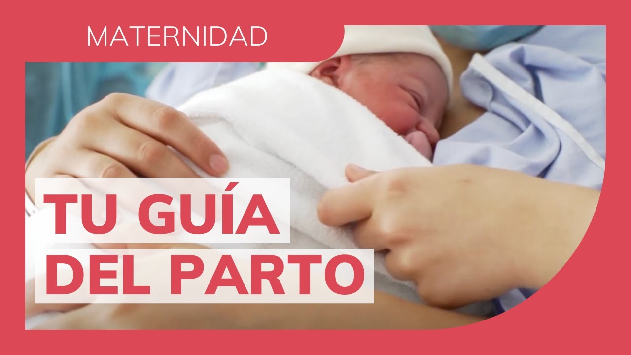 Hospital Universitario del Vinalopó | ¿qué tengo que hacer ante las primeras contracciones?