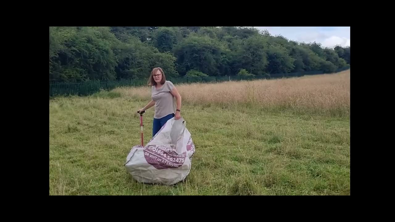 Ragwort removal, slow process