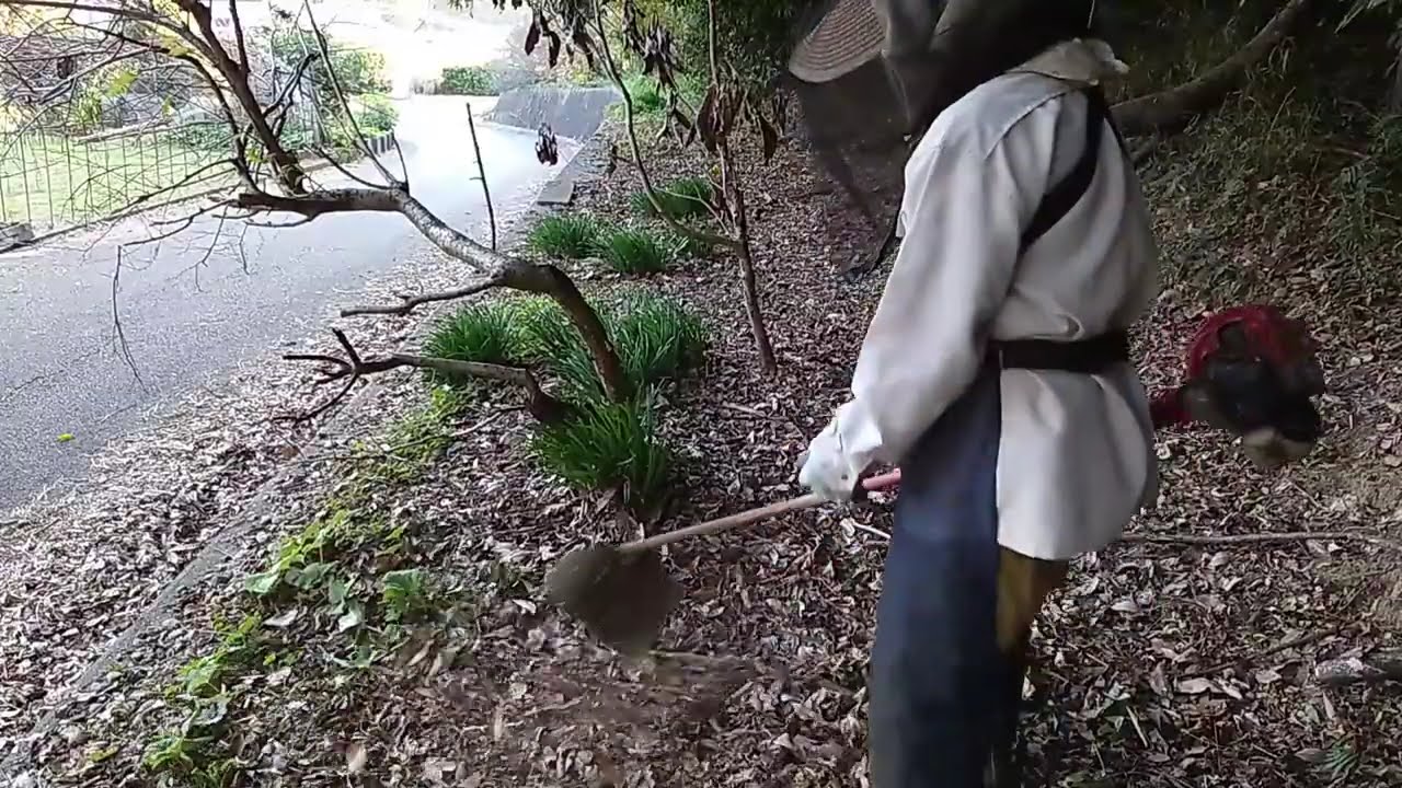 ナイロンコードの草刈機を使い草刈りをしました