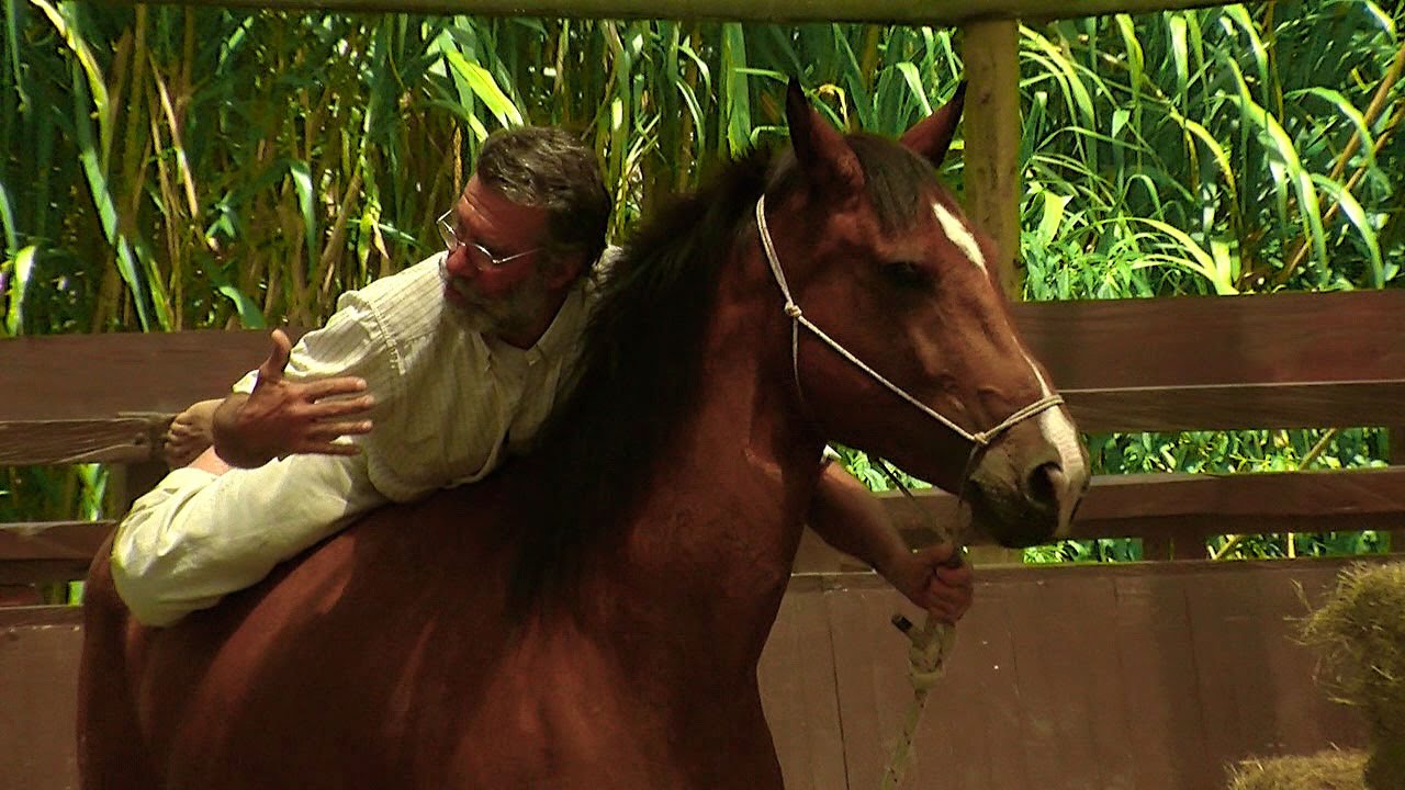 Indian Horse Taming, The Scarpati Method (Part 2) - TvAgro por Juan Gonzalo Angel