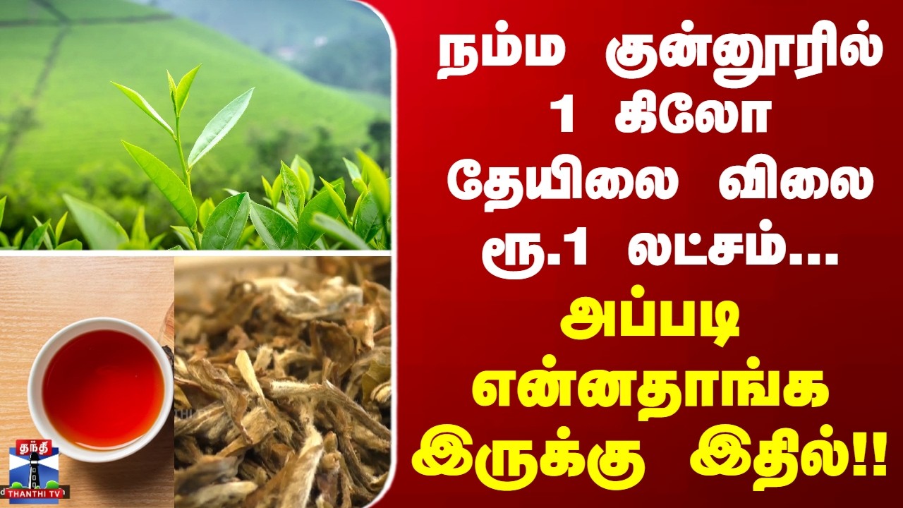 coonoor | நம்ம குன்னூரில் 1 கிலோ தேயிலை விலை ரூ.1 லட்சம்... அப்படி என்னதாங்க இருக்கு இதில்!!