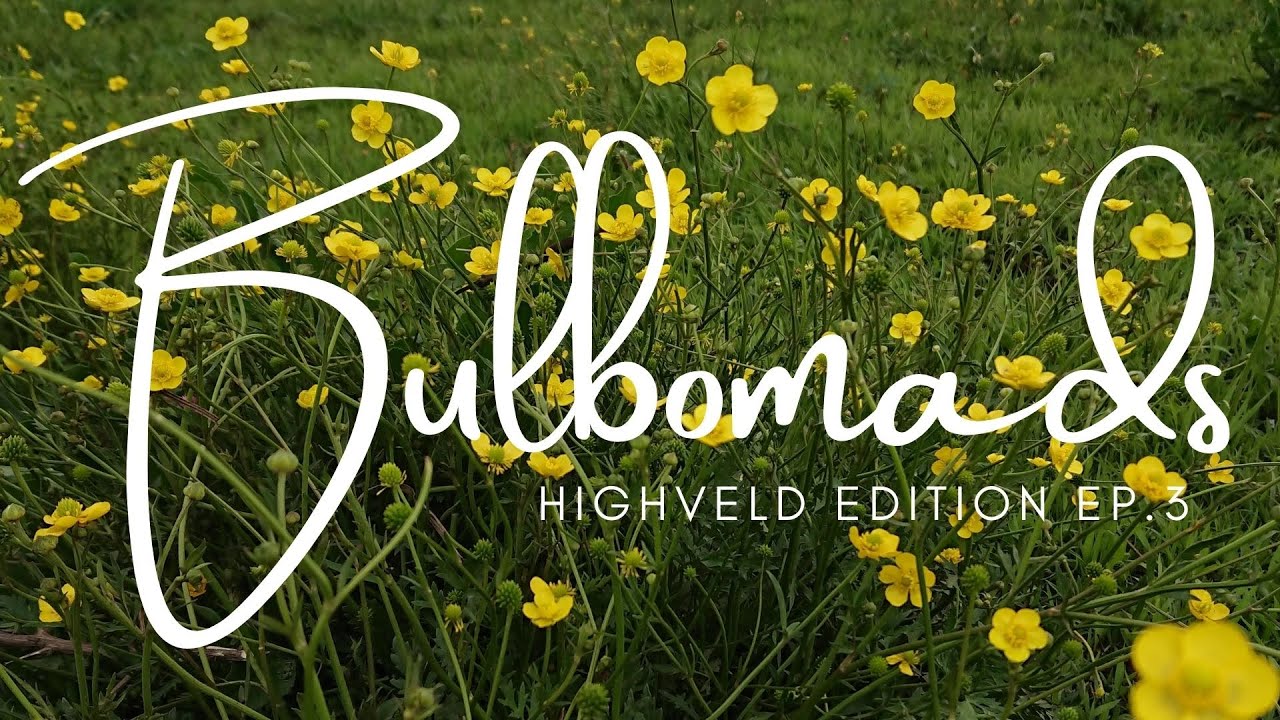 EP.3 Highveld Habitats [Seasonal Changes]