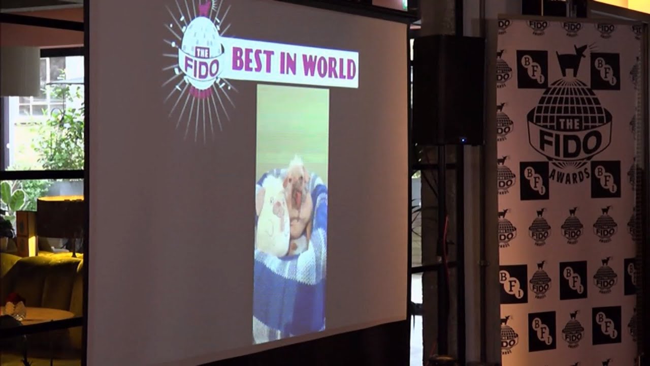 BFI Fido film awards in the UK/Global -- 23/Feb/2025