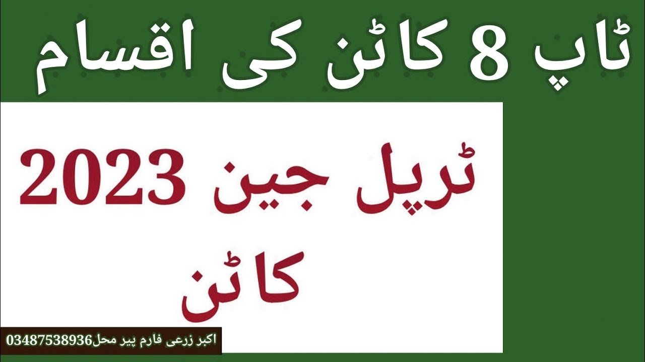 TOP 8 COTTON VERITIES OF 2023