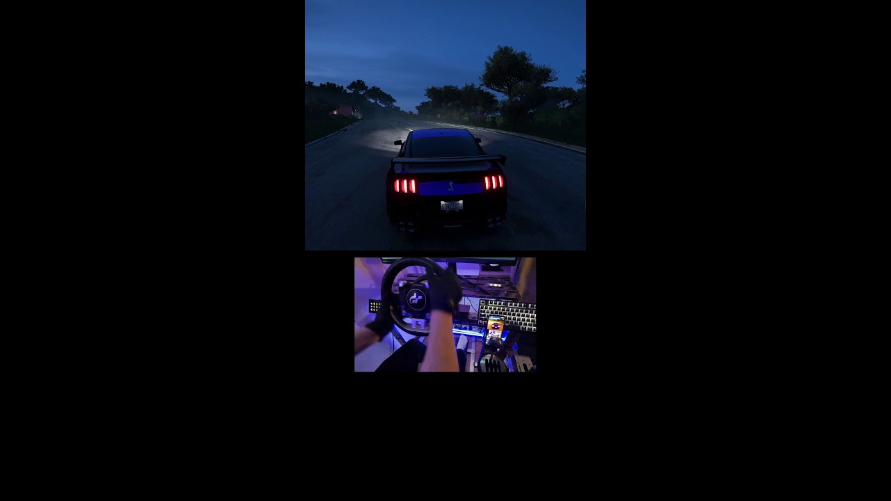 Forza Horizon 5 Live steering wheel