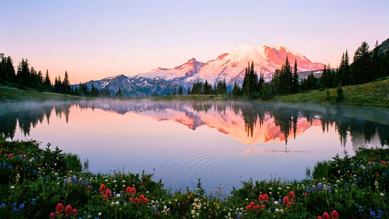The Pink Mountain Mirror | Serene Lake Ambiance & Wildflowers ASMR