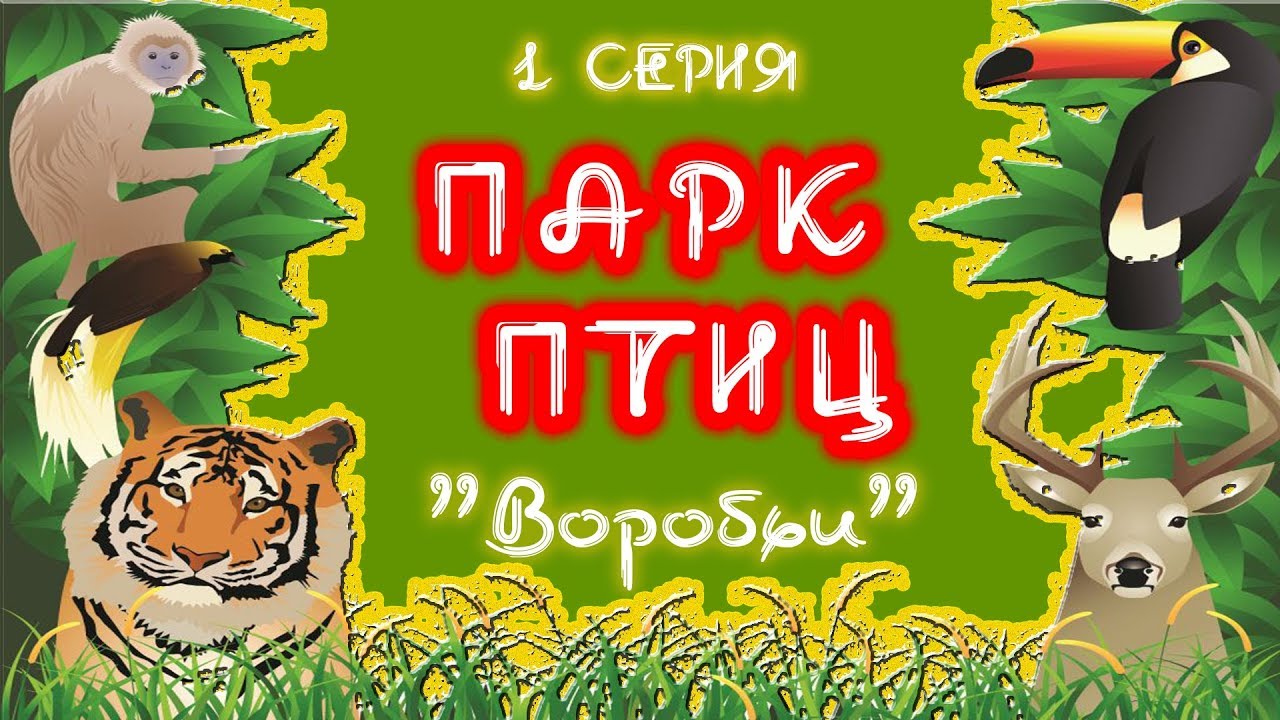 Парк Птиц Воробьи. Калужская область. Как добраться и что посмотреть. 1 серия