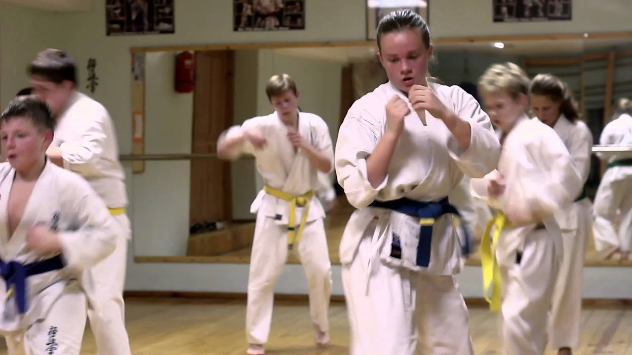 Kyokushin karate mokykla 