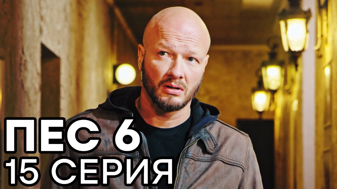 Сериал ПЕС 6 - 6 сезон - 15 серия - ВСЕ СЕРИИ смотреть онлайн | СЕРИАЛЫ ICTV