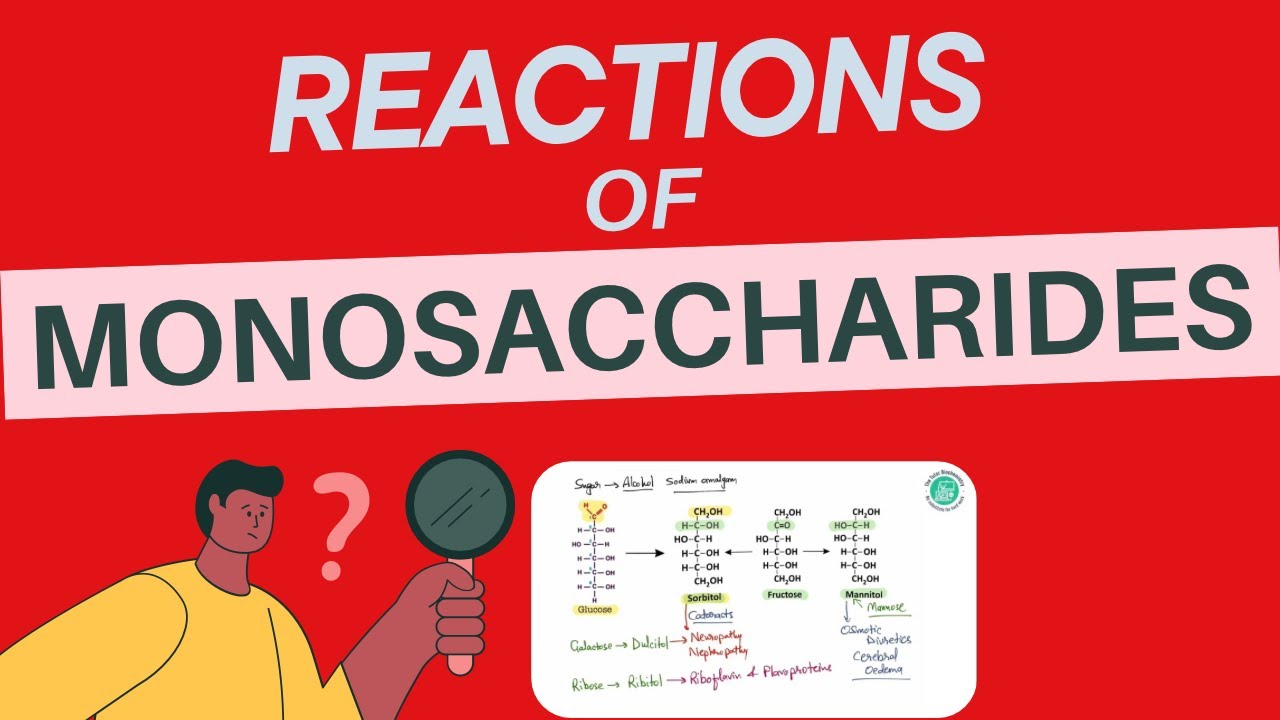 Reactions of Monosaccharides | Chemistry of Carbohydrates | #biochemistry