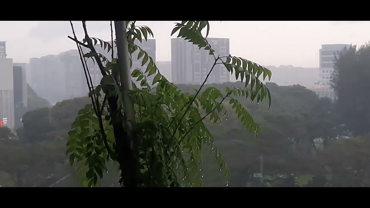 Evening weather slower rain and cold temperature