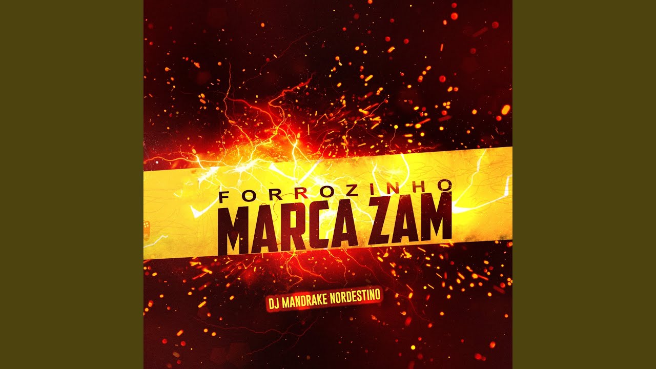 Forrozin Porque Eu Dei Uma Botada