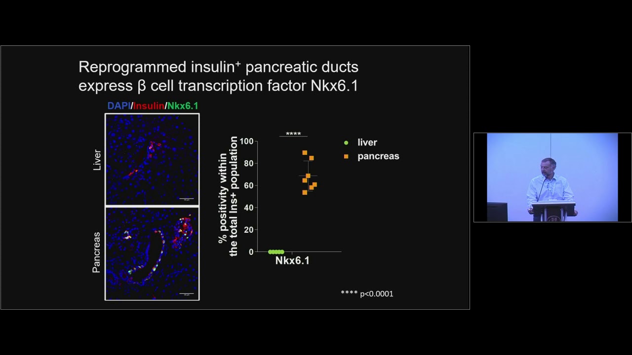 Making New Beta Cells by Reprogramming