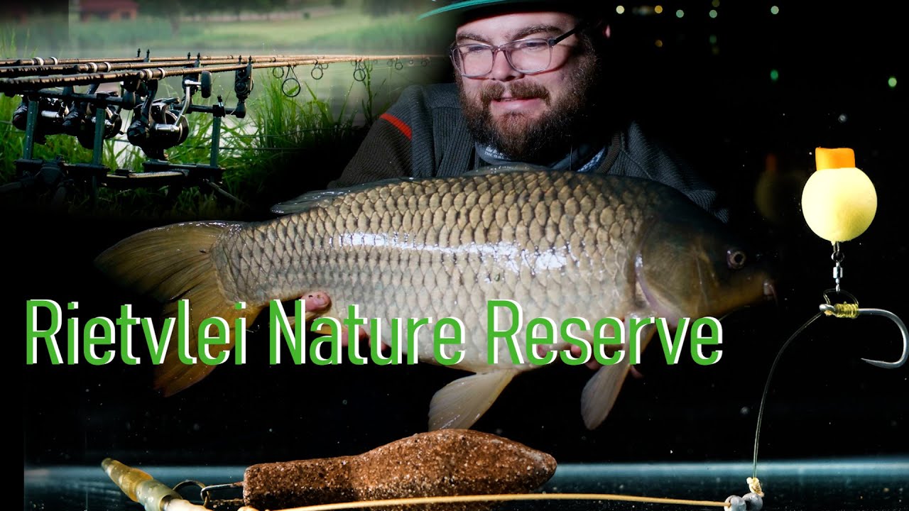 Rietvlei Carp Fishing with New Shimano TX7 Rods