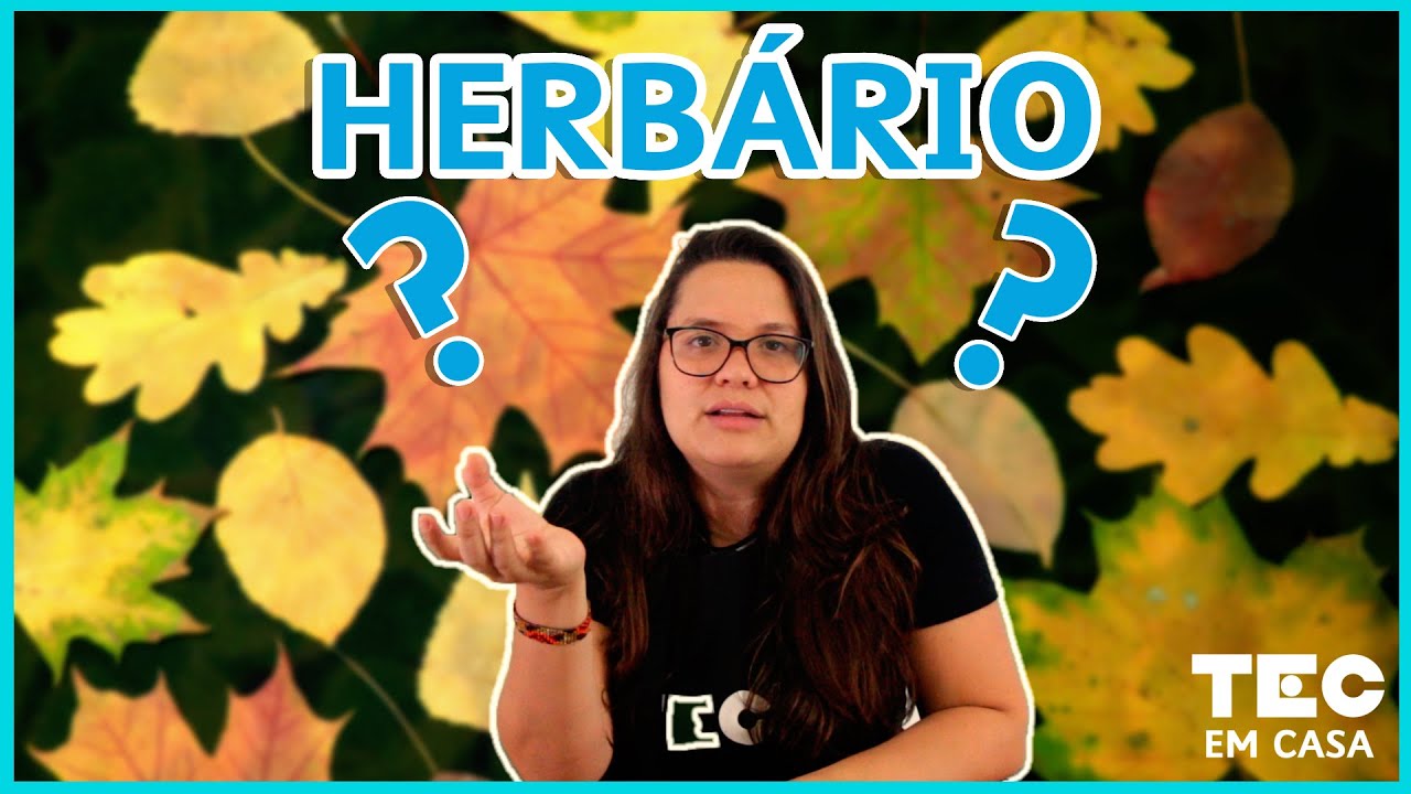 HERB&Aacute;RIO 🍂🍃 | Aprenda a catalogar as suas plantas!