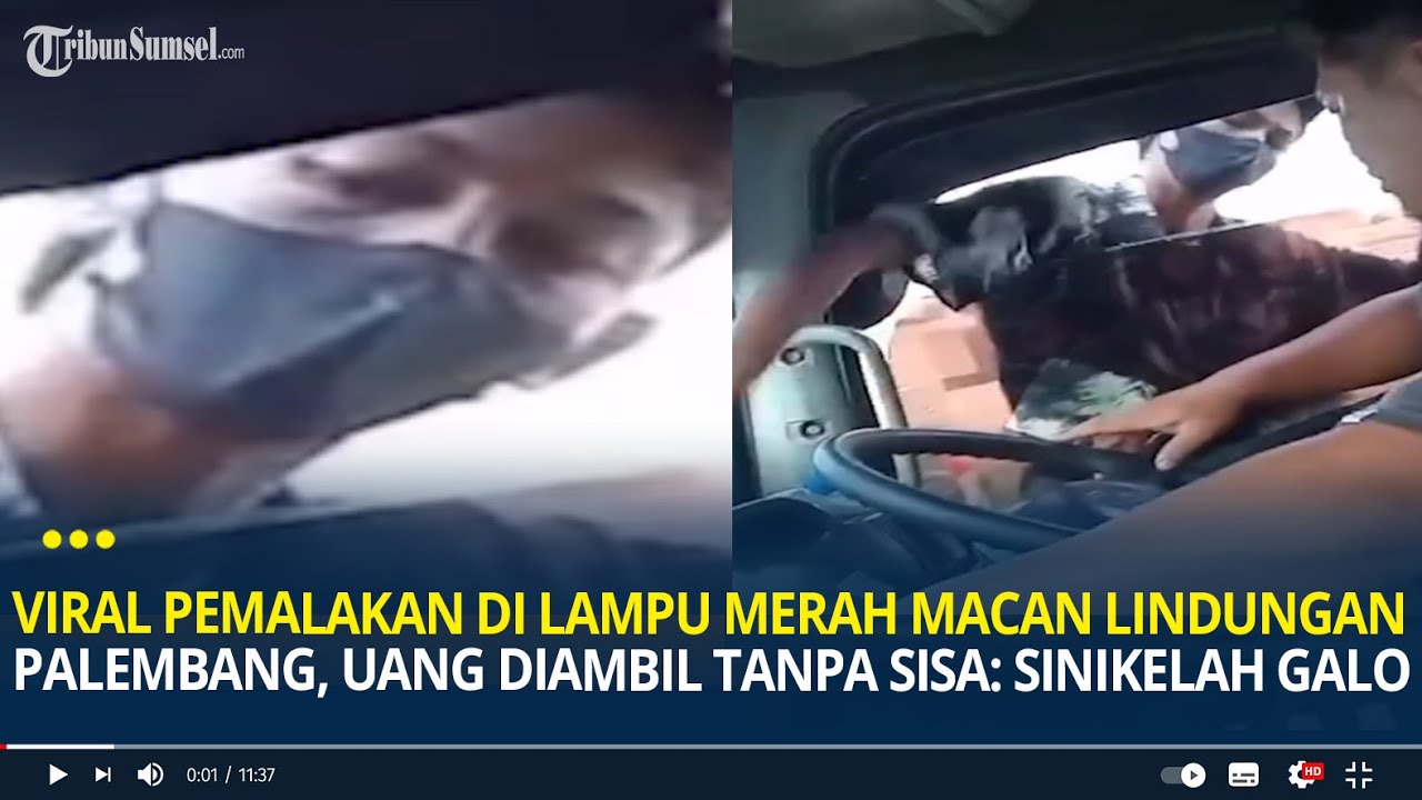 Viral Pemalakan di Lampu Merah Macan Lindungan Palembang, Uang Diambil Tanpa Sisa: Sinikelah Galo