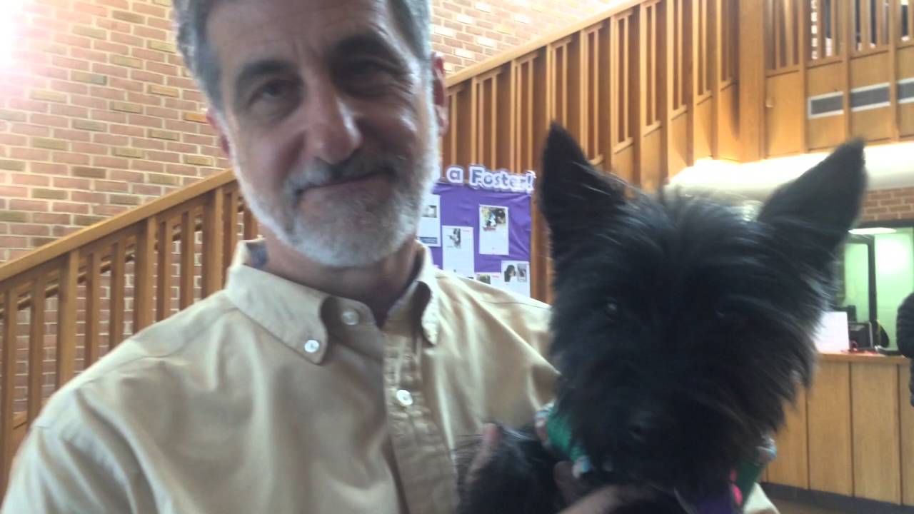 Bill Berloni & Toto preview National Theatre's 