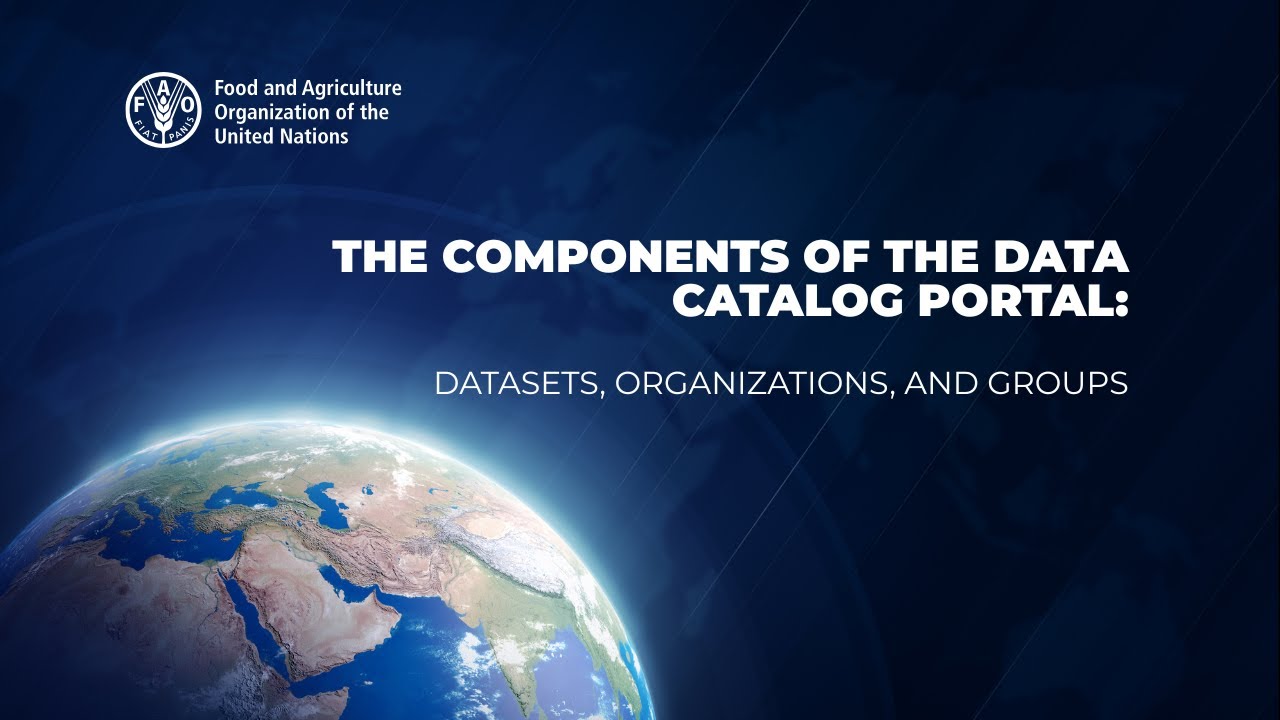 The Components of the Data Catalog Portal: Datasets, Organizations, and Groups