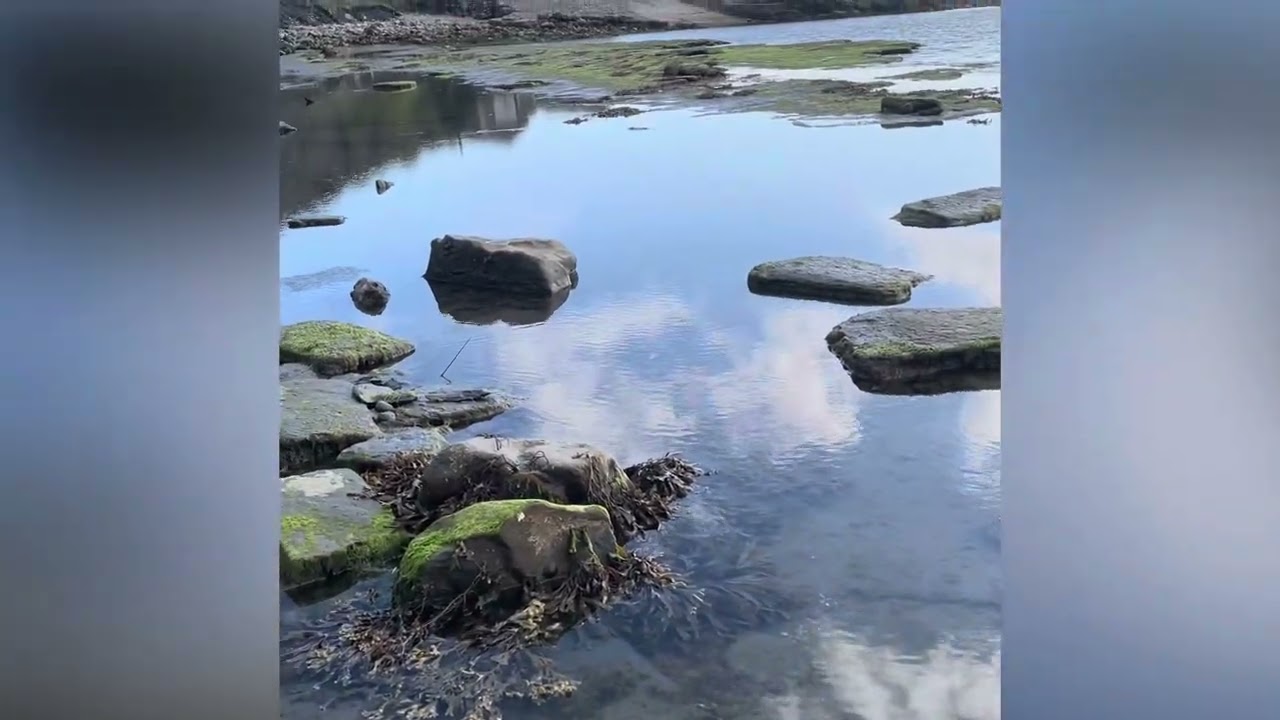 Snorkelling at Chapman&rsquo;s Pool, Dorset, UK.