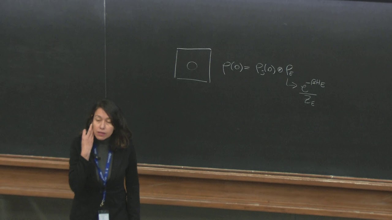 Open Quantum Systems 2