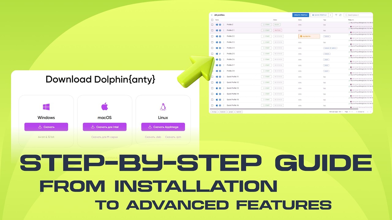 How do I use the Dolphin{anty} anti-detection browser?