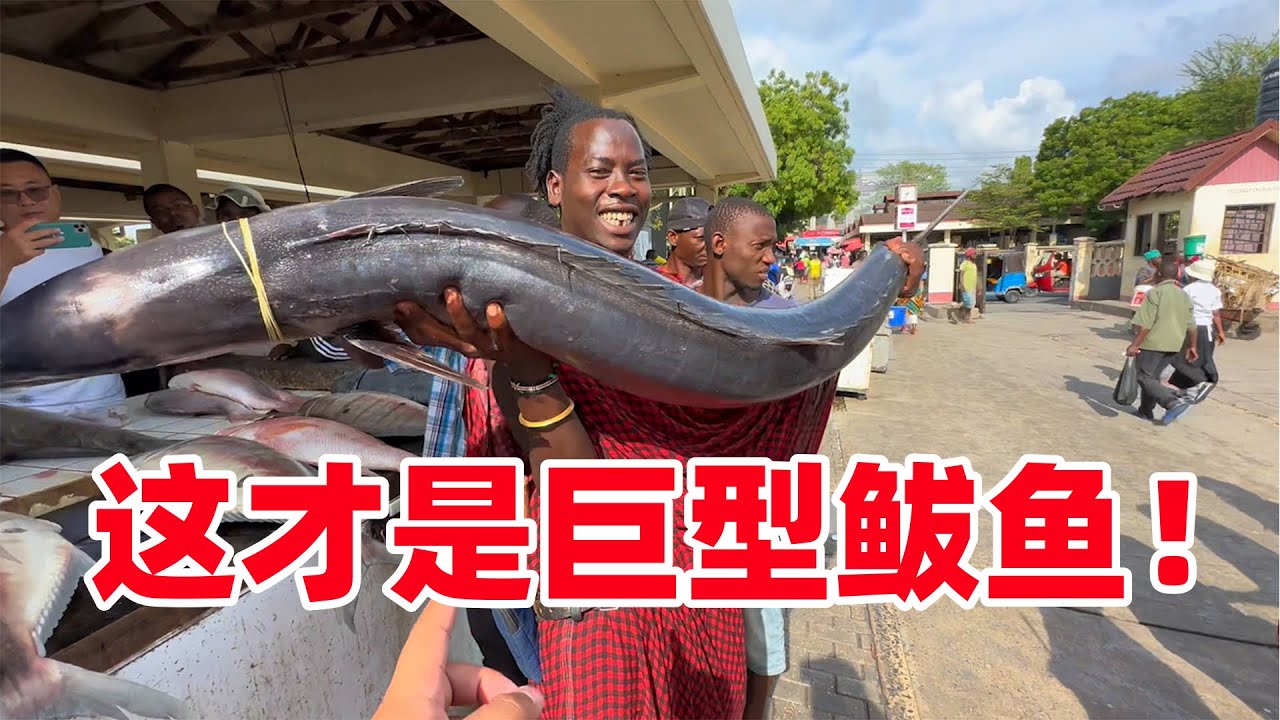 别眨眼！330元：我拿下了非洲当地最大鲅鱼，有多大？你可坐稳了