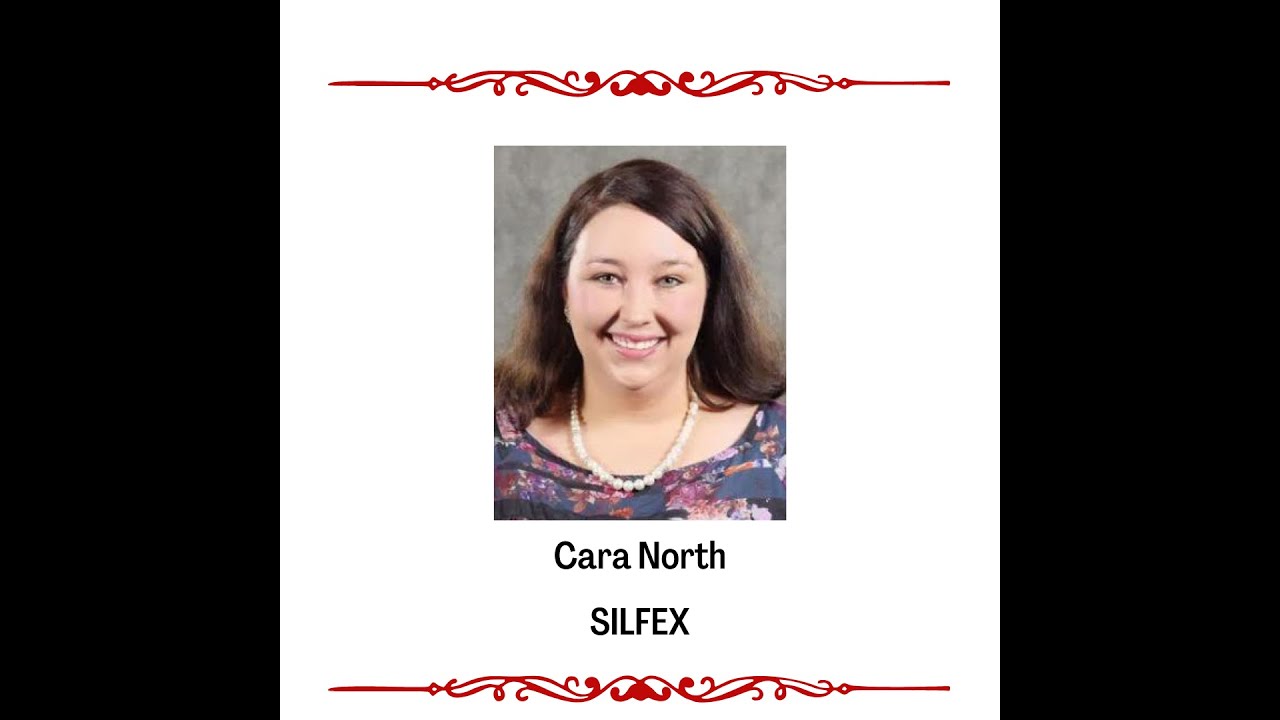 Cara North: Instructional Design Insights