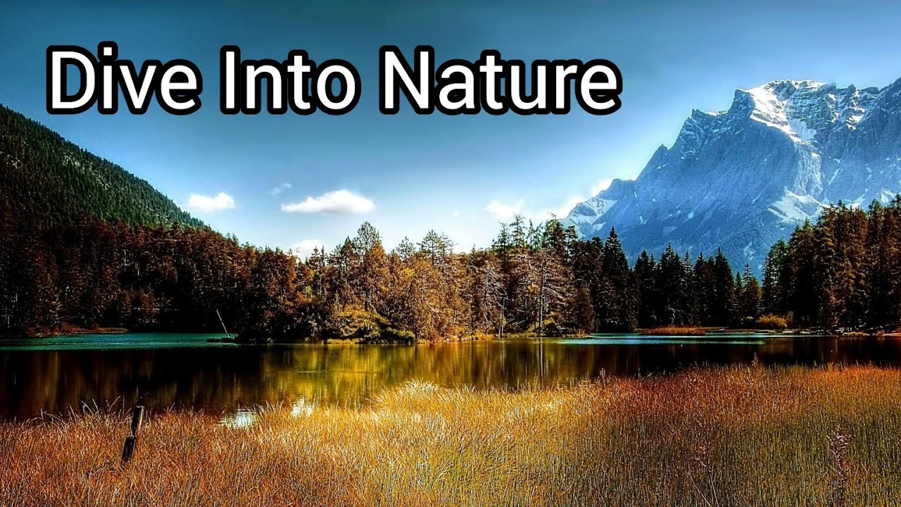 Pure Nature Relaxation (4k)