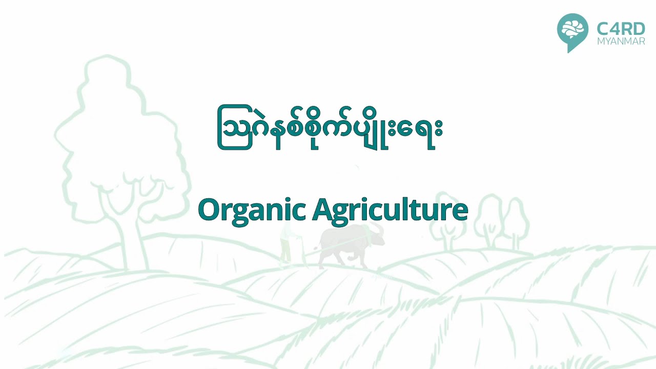 သြဂဲနစ်စိုက်ပျိုးရေး
