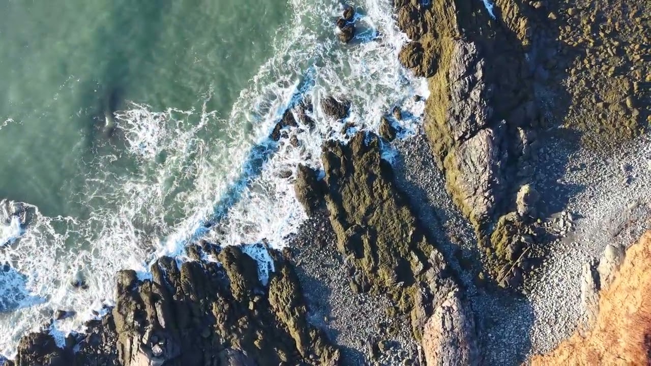 Hamilton Cove Waves