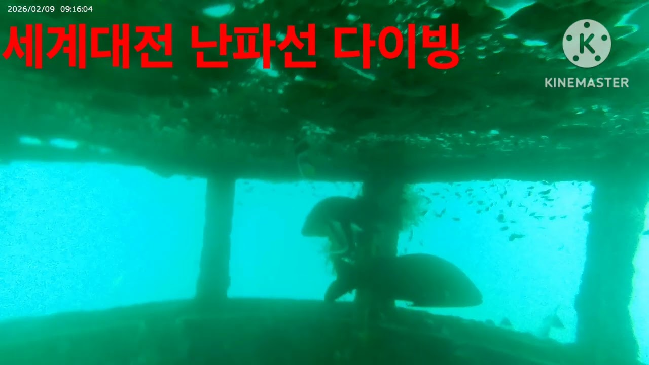 2026년 2월 14일
