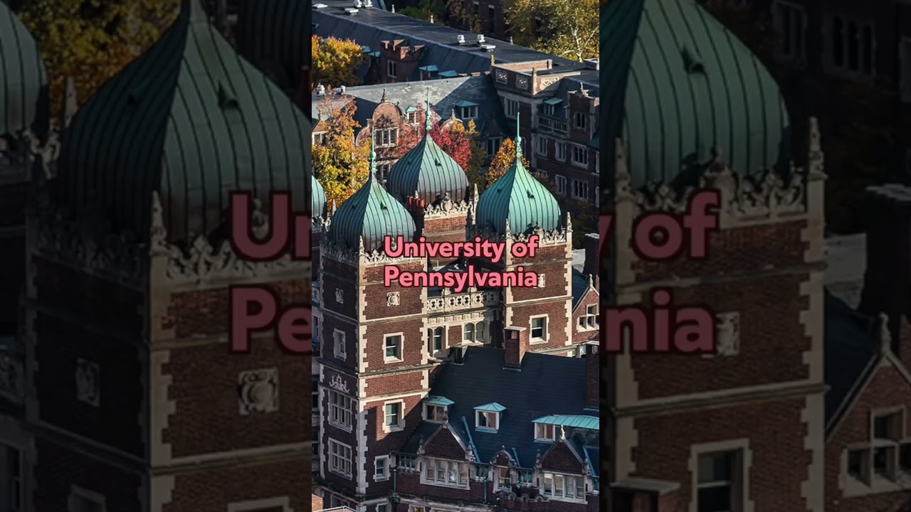 Best law schools you need to know📸