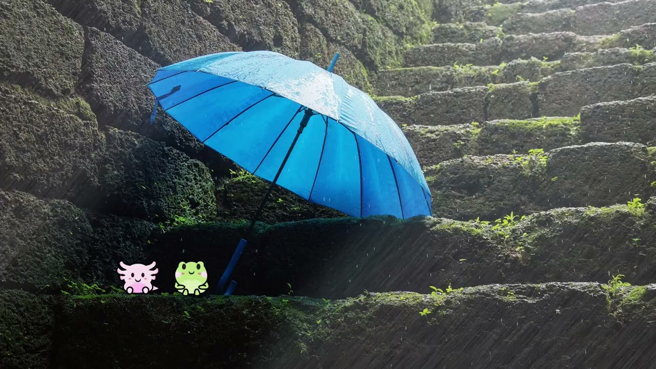 relax with flip and flop | rainy lofi-beats to fall asleep or study to