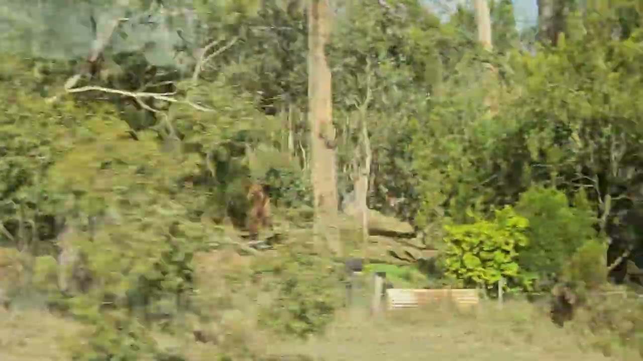 On my way to Souverign Hill