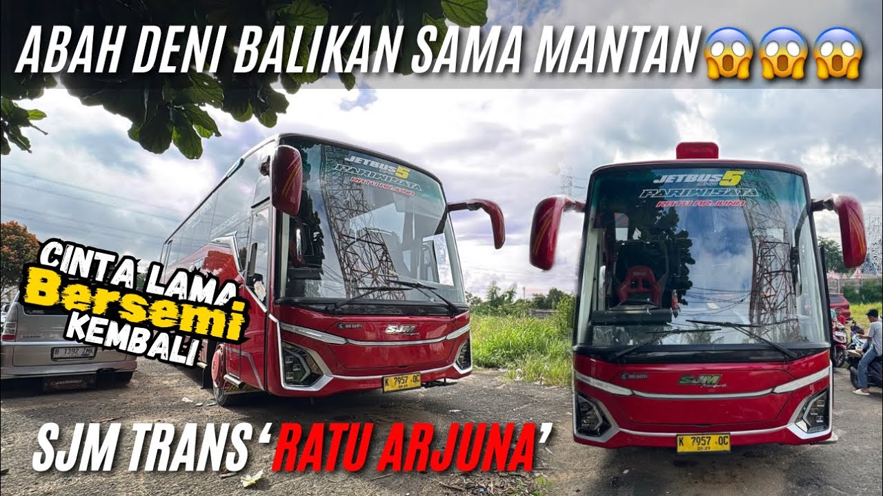 INI DIA PENAMPAKAN UNIT BARU ABAH DENI😱SJM TRANS SINGLE GLASS🔥