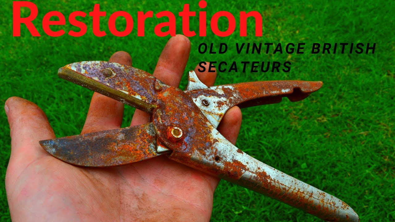 RESTORING Old/ Vintage/ antique/ British Rolcut Secateurs/oil blackening.