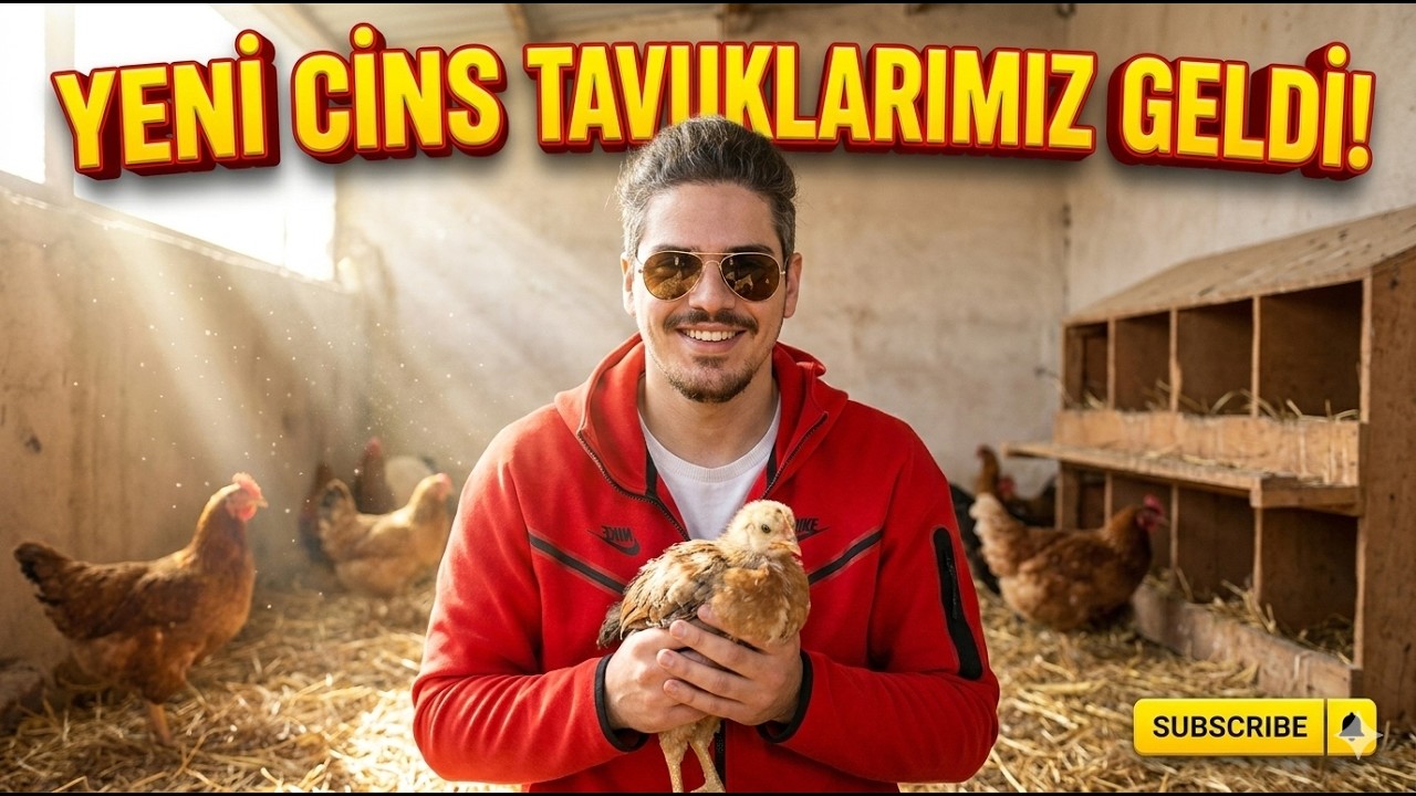🔥 KAYARFARM 5. BÖLÜM | YENİ CİVCİVLER YOLDA VE İSPENÇ TAVUKLARIMIZ GELDİ! 🐔🐓